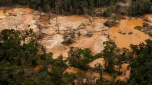 minería ilegal