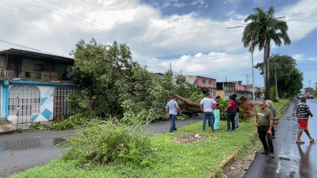 Onda Tropical 41 provocó caída de árboles y daños en diversas zonas de Monagas